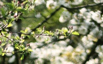 April